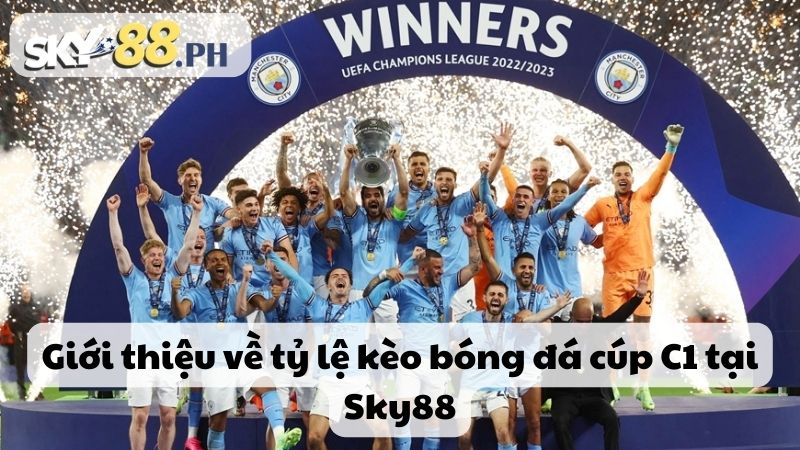 Giới thiệu về tỷ lệ kèo bóng đá cúp C1 tại Sky88