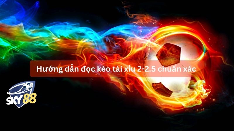 Hướng dẫn đọc kèo tài xỉu 2-2.5 chuẩn xác 