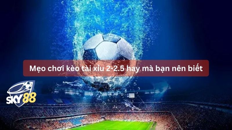 Mẹo chơi kèo tài xỉu 2-2.5 hay mà bạn nên biết