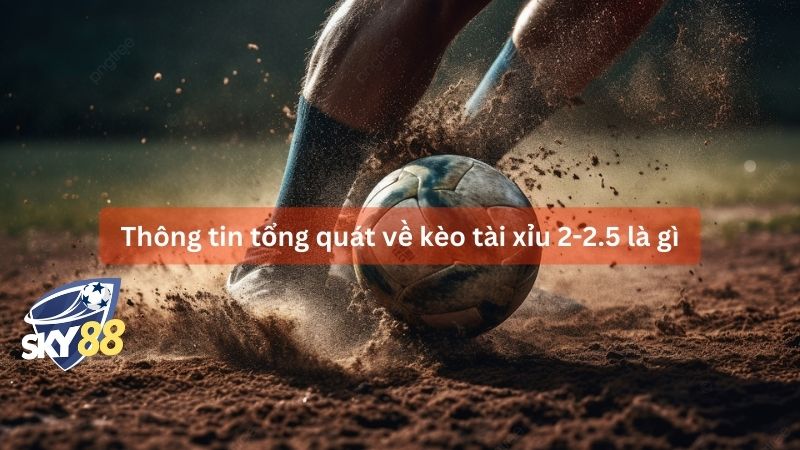 Thông tin tổng quát về kèo tài xỉu 2-2.5 là gì