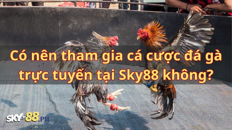 Tham gia cá cược đá gà tại Sky88 đem lại nhiều lợi ích