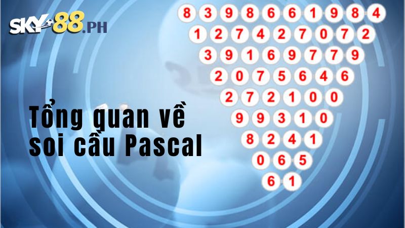 Tổng quan về cầu Pascal